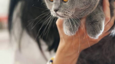 ¡Nos hemos ido a Valencia!