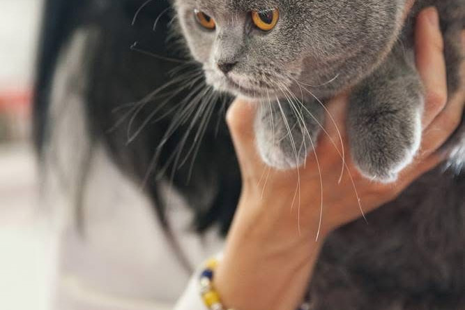 ¡Nos hemos ido a Valencia!