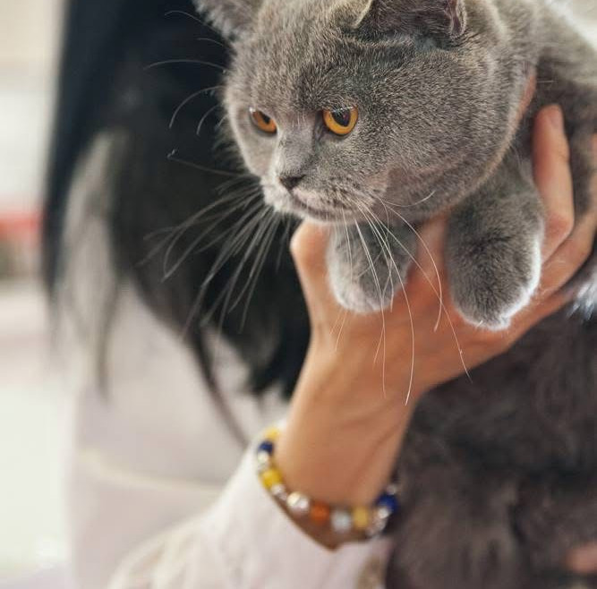 ¡Nos hemos ido a Valencia!