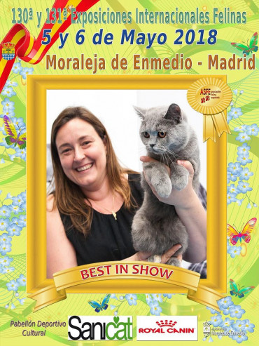 Y no hay 2 sin 3, de Expo en… Madrid