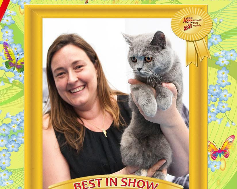 Y no hay 2 sin 3, de Expo en… Madrid