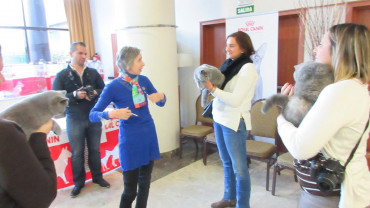 ¡Nos estrenamos en nuestra primera exposición felina!