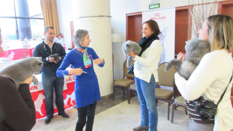 ¡Nos estrenamos en nuestra primera exposición felina!